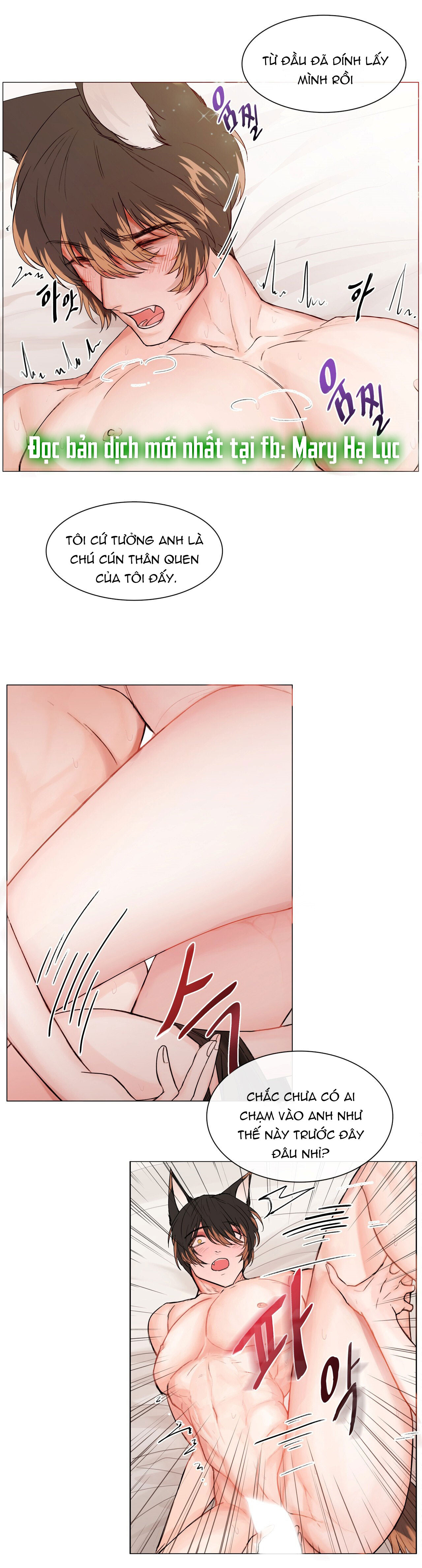 [18+] cún con của chủ nhân Chap 1 - Trang 2